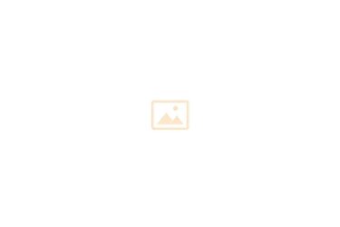 placeholder-770x515-antique