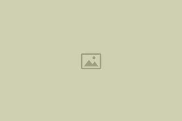 placeholder-770x515-everglow