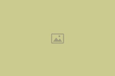 placeholder-770x515-forest